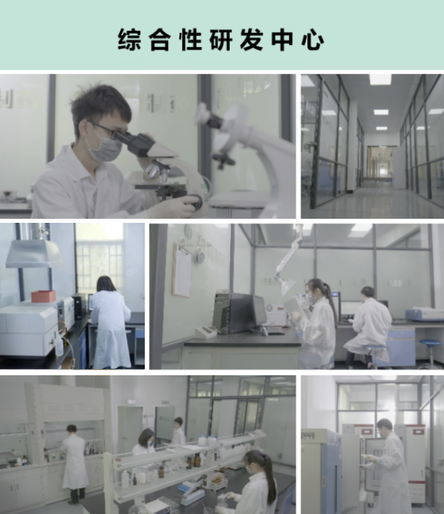 公司簡介